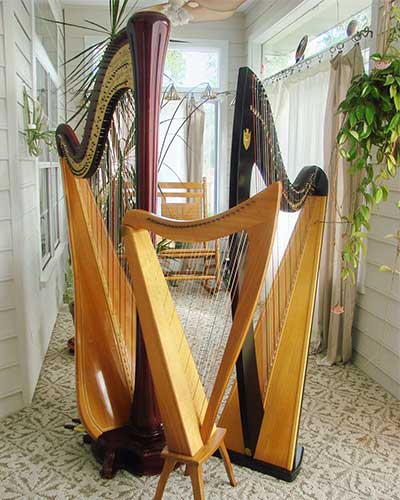 Harp gallery photograph 11