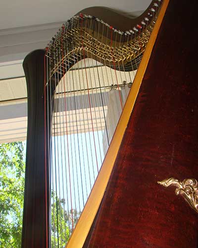 Harp gallery photograph 14